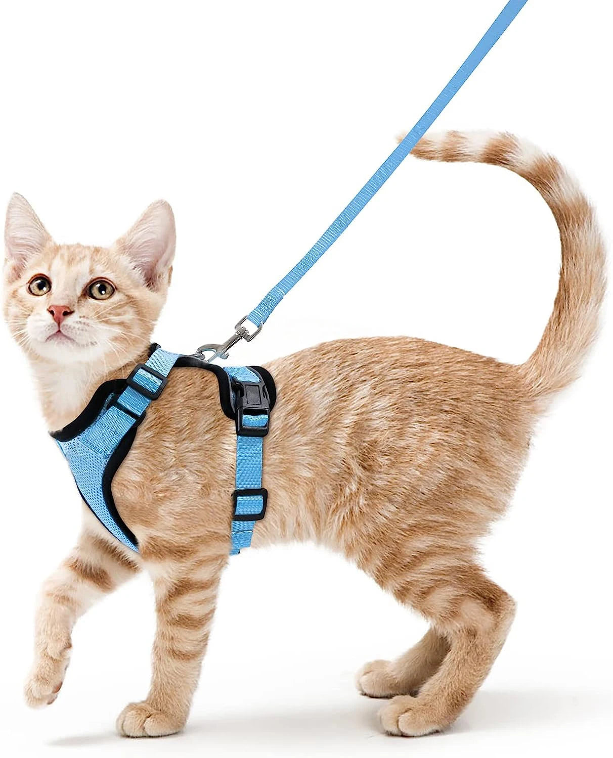 Cat Harness and Leash for Walking – Escape Proof, Soft & Adjustable Vest Harnesses PawsnHeart
