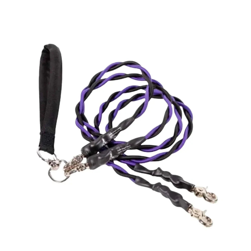New Tangle-Free Swivel Double Bungee Leash Shock Absorbing Comfortable Dog Leashes Retractable Dog Rope Pet Accessories PawsnHeart