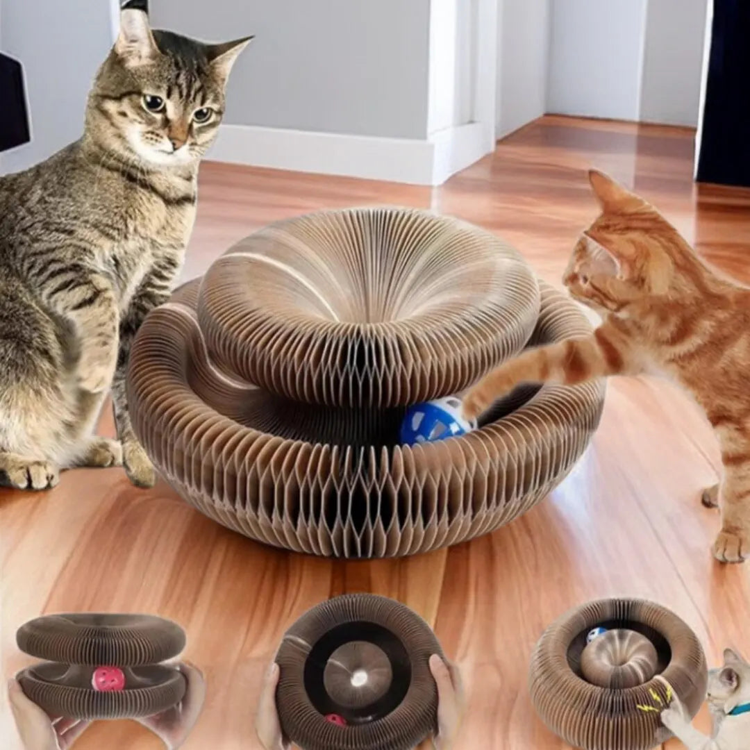Magic Cat Scratch Organ Board Cat Toy with Ball Cat Grinding Claw Cat Climbing Frame Kitten Round Corrugated Cat Scratching Toy PawsnHeart