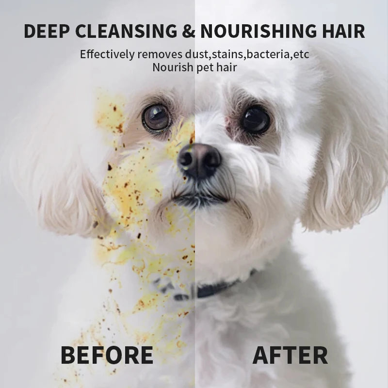 New 6PCS Pet Wash-Free Gloves Cat Bath Deodorant Wipes Disposable Cleaning Dry Cleaning Dog Wipes Gentle And Convenient Gloves PawsnHeart