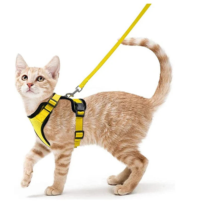 Cat Harness and Leash for Walking – Escape Proof, Soft & Adjustable Vest Harnesses PawsnHeart