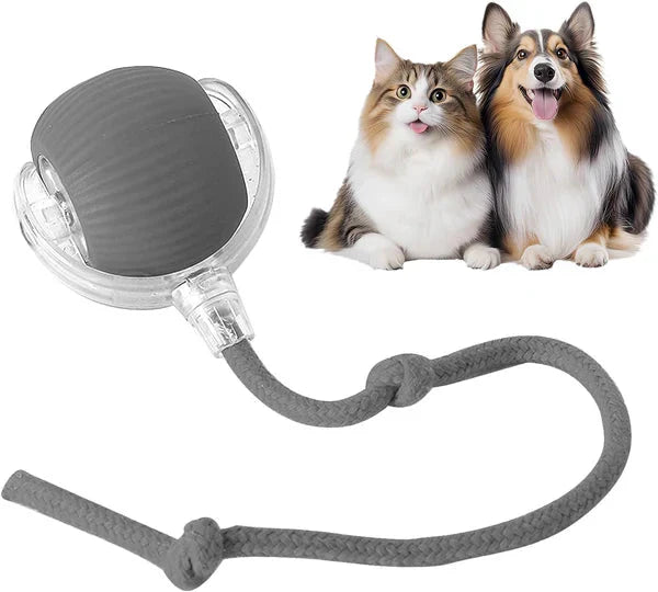 ChewLoon™ PawsMagics