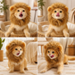 LionPurr™