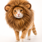 LionPurr™
