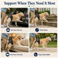 PawAssist™