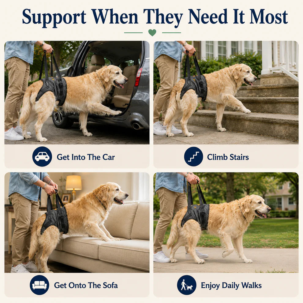 PawAssist™