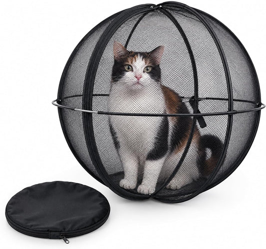 RolliPaw™