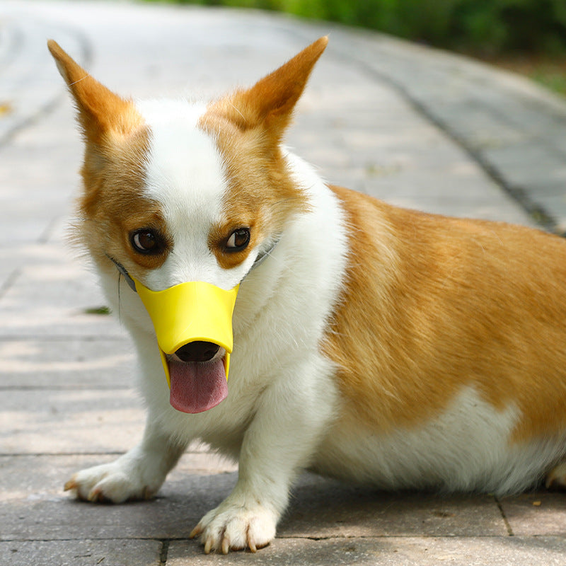 DuckiGuard™