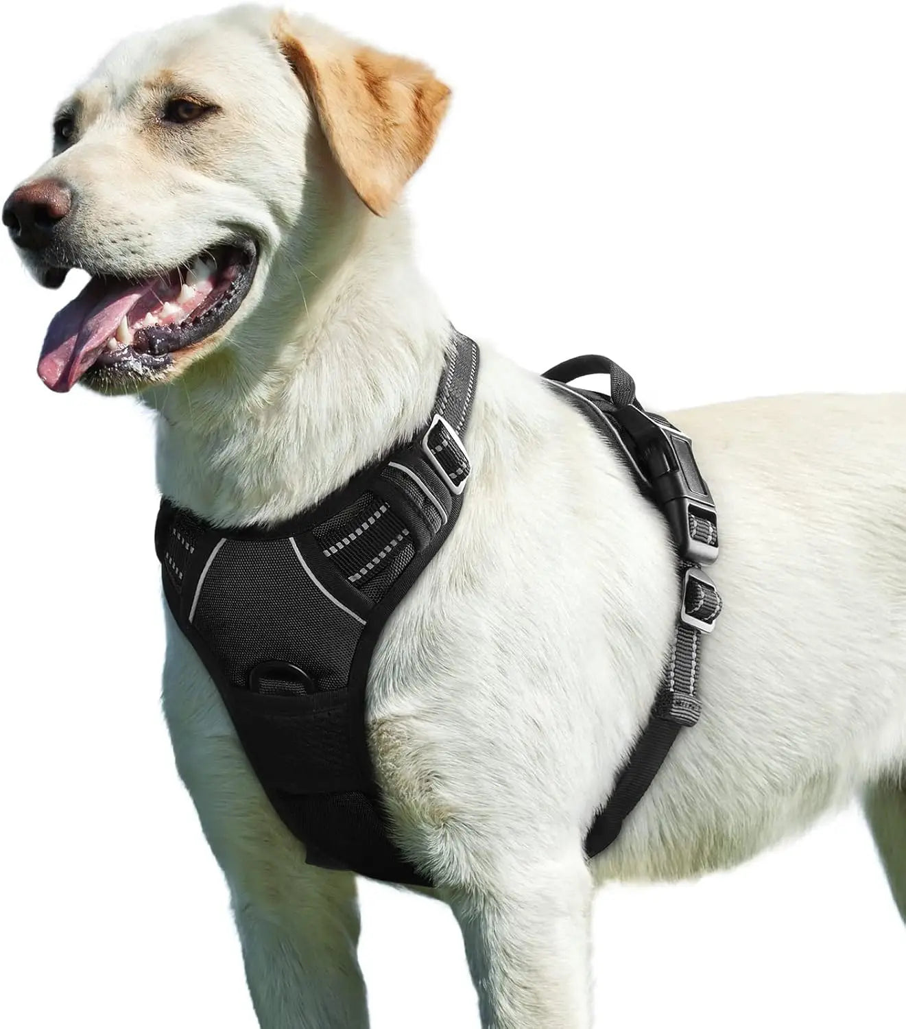 Dog Harness No Pull with 2 Leash Clips, Adjustable Soft Padded, Reflective Oxford No Choke Pet Vest with Easy Control Handle PawsnHeart