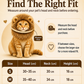 LionPurr™