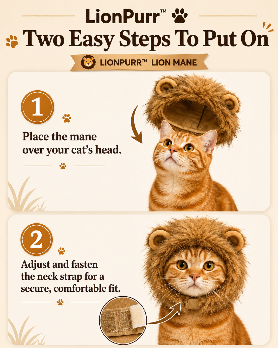 LionPurr™