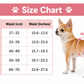 PawComfort™