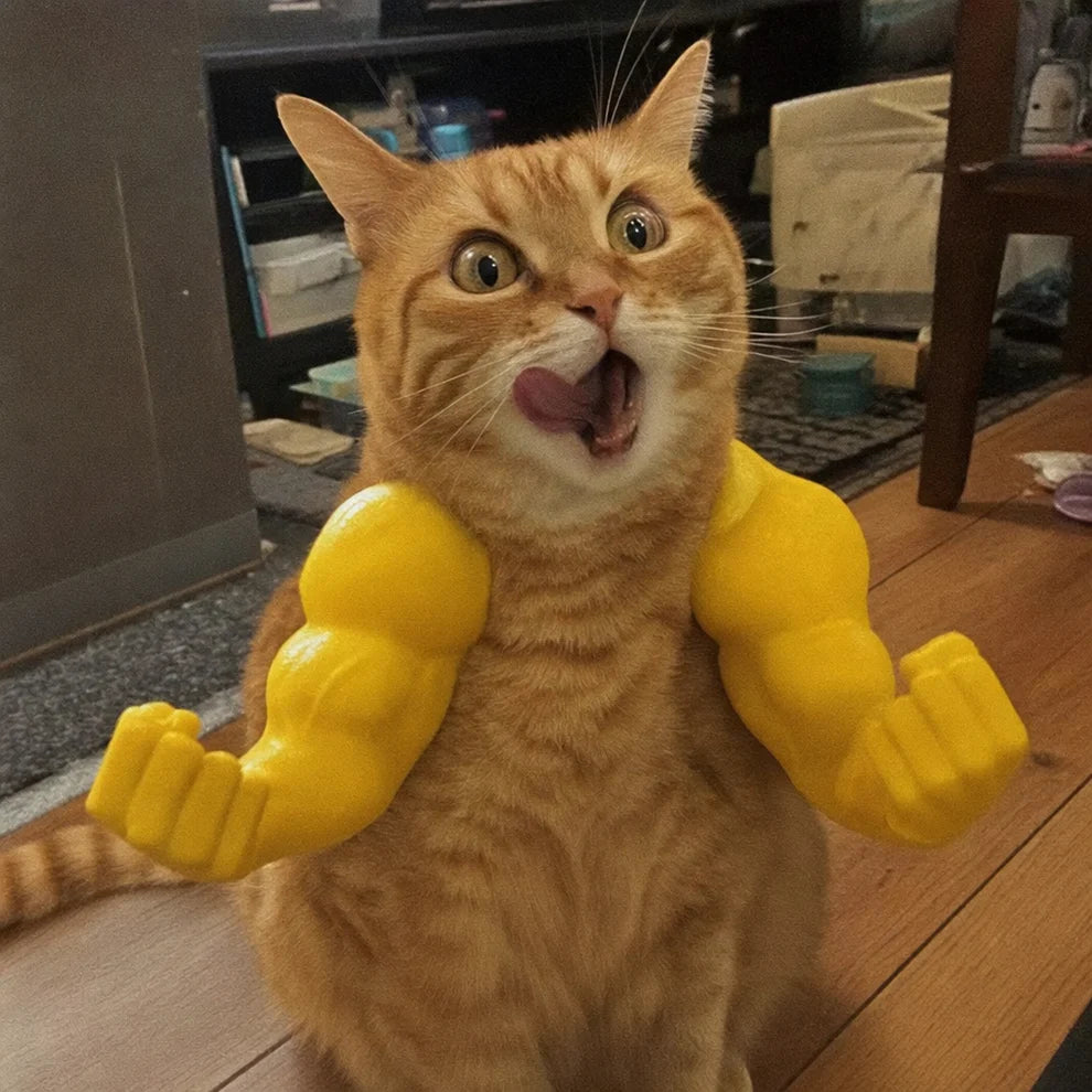 BuffPaws™