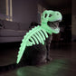 DinoBones™