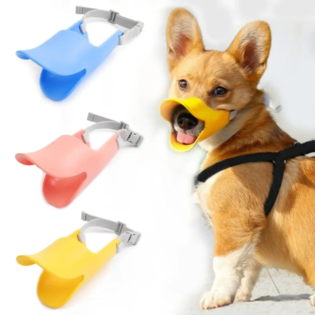 DuckiGuard™