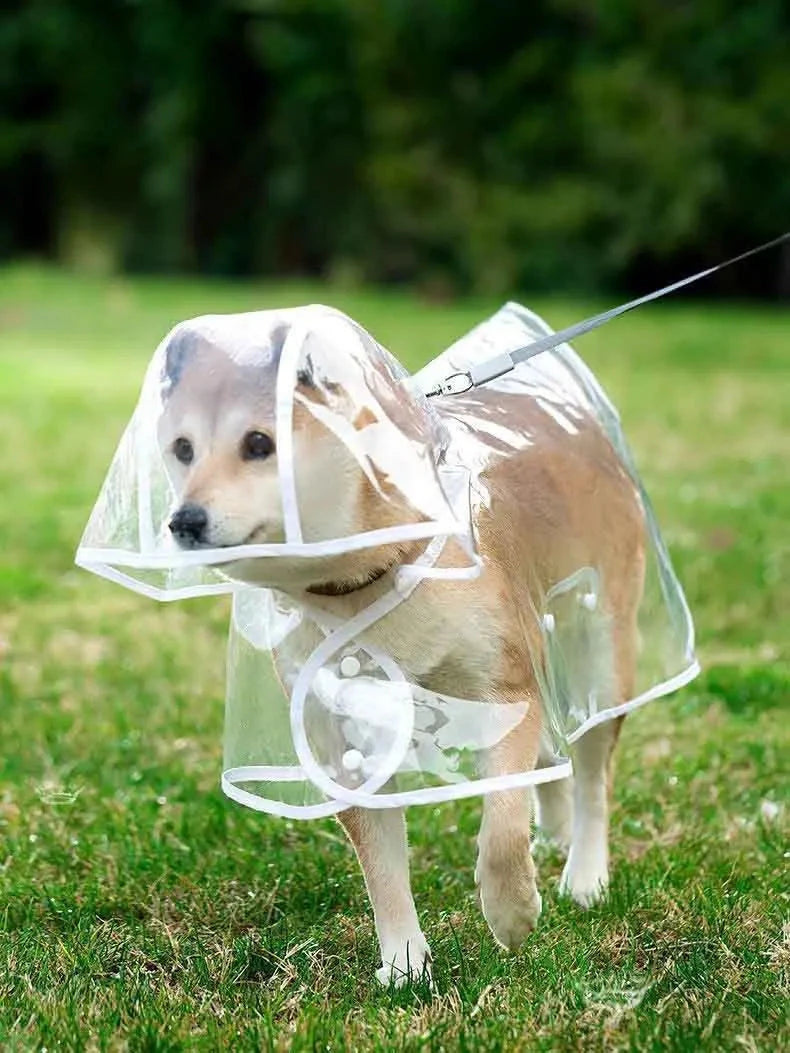 Dogs going out, transparent waterproof raincoat with hat pet raincoat PawsnHeart
