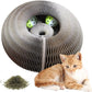 Magic Cat Scratch Organ Board Cat Toy – Fun Ball &amp; Corrugated Claw Climbing Frame PawsnHeart