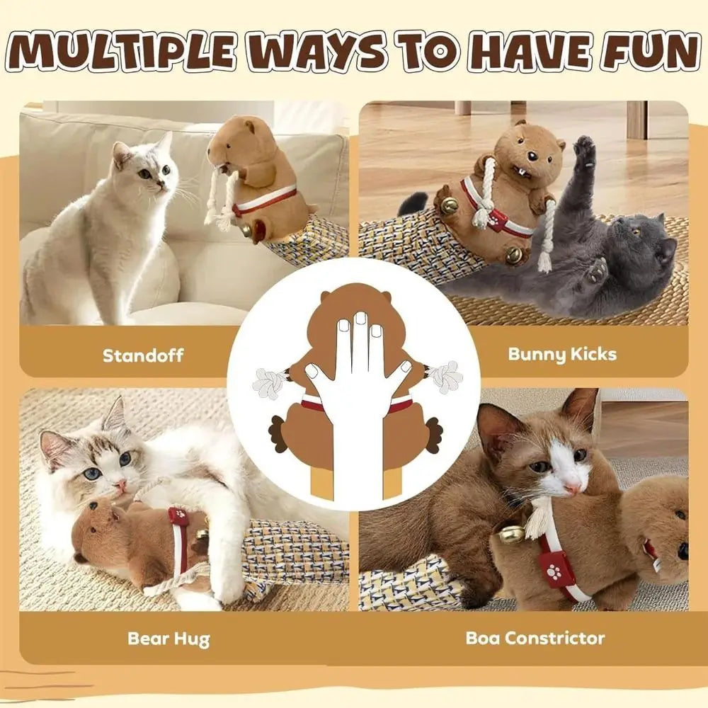 PawRumble™