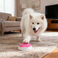 WordyPaws™ (4 Pcs)