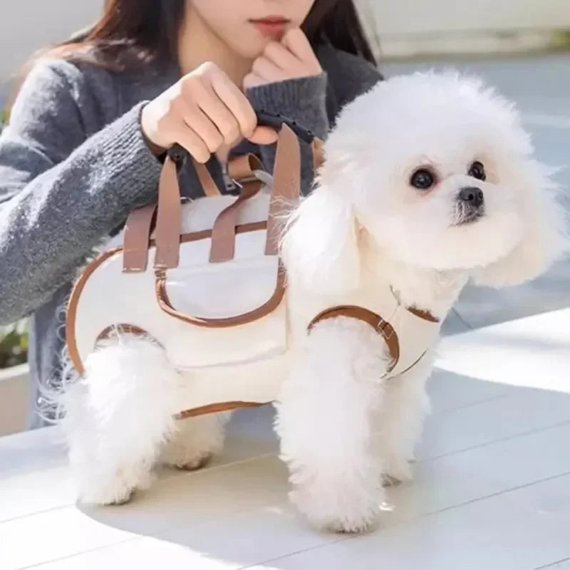 PawVoyage™
