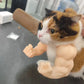 BuffPaws™