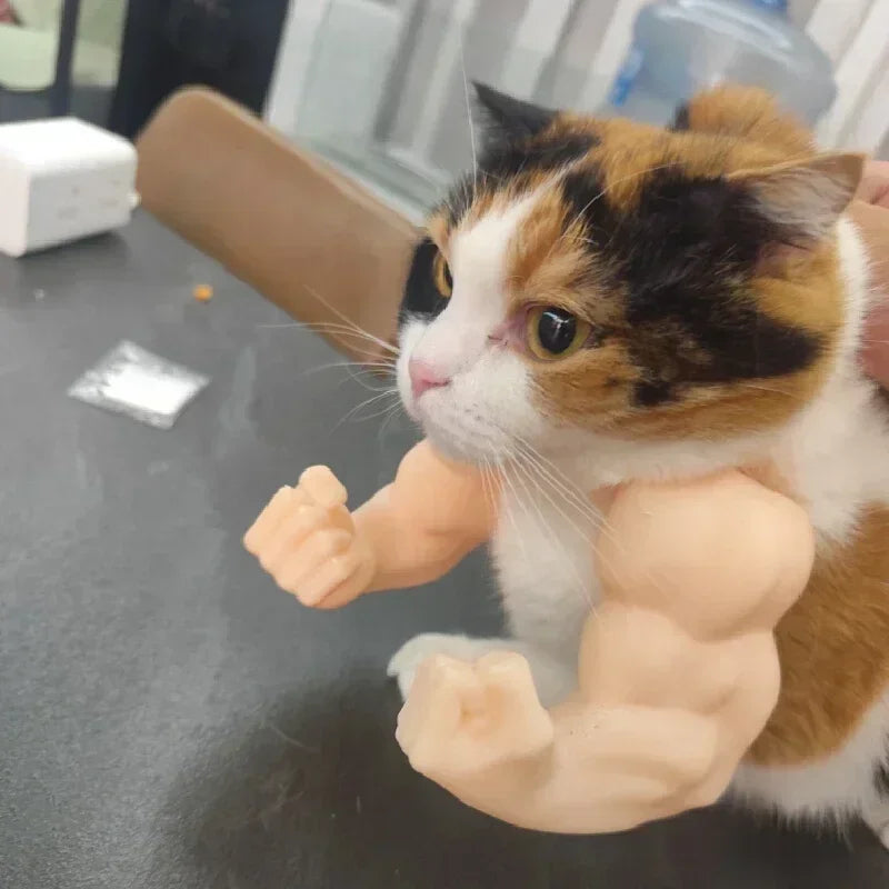 BuffPaws™