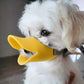 DuckiGuard™