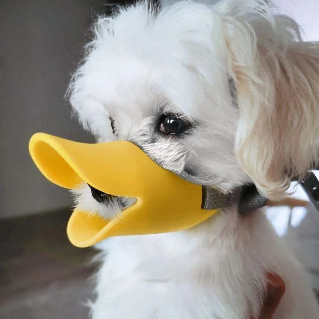 DuckiGuard™