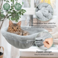 PurrDesk™
