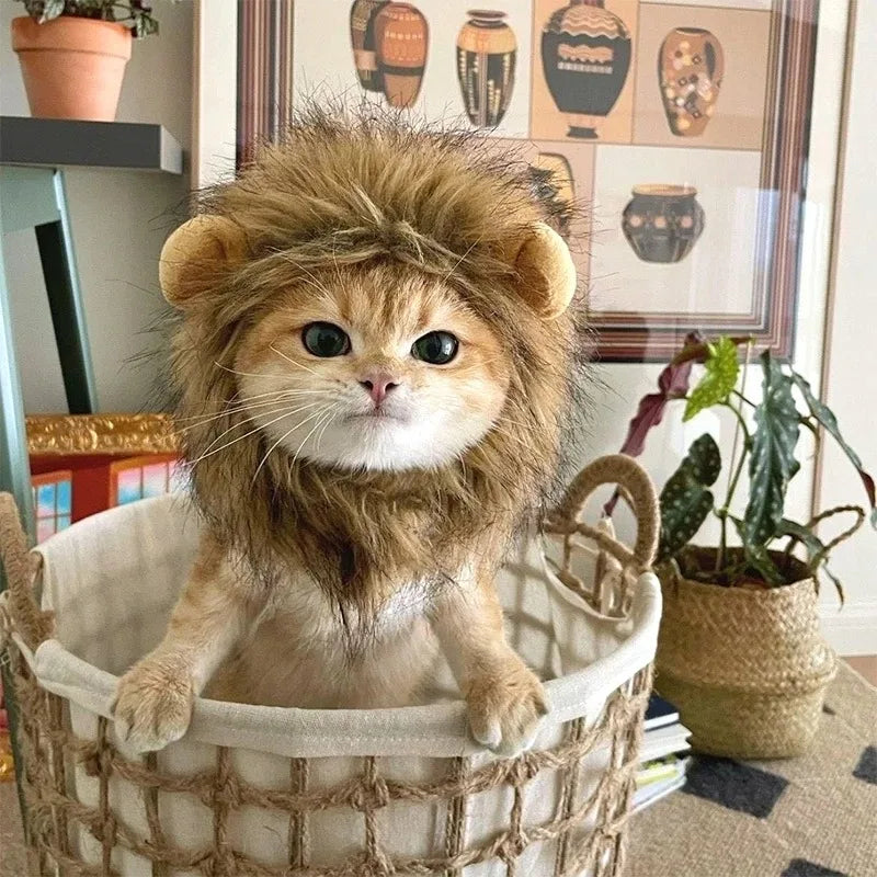 LionPurr™