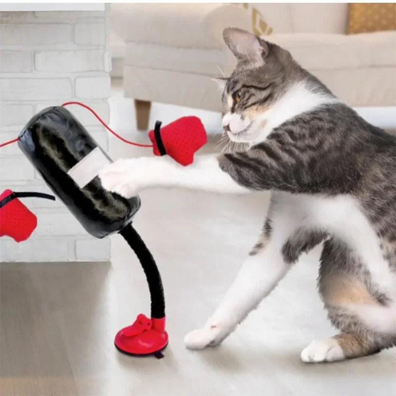 PunchPaws™