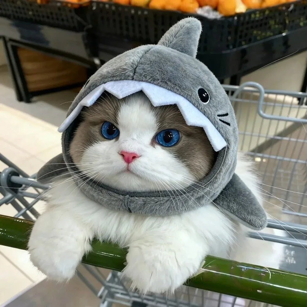RoarPaws™