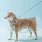 Dogs going out, transparent waterproof raincoat with hat pet raincoat PawsnHeart