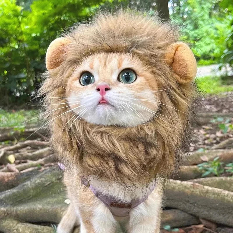 LionPurr™