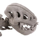 DinoBones™