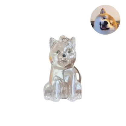 ForeverPaws™