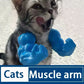BuffPaws™