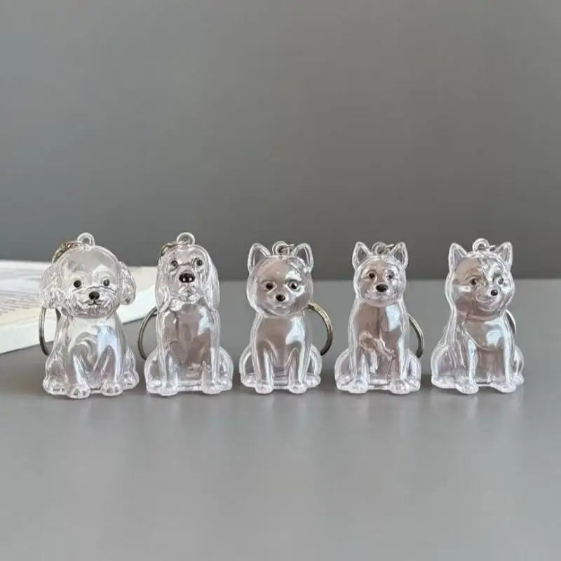 ForeverPaws™