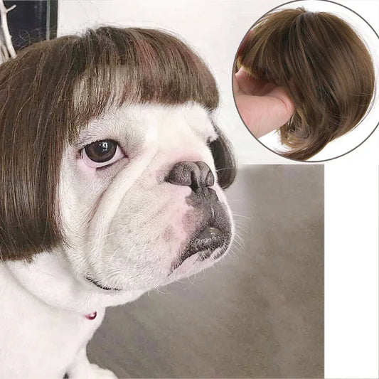 WigglePup™