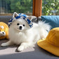 SunnyPaws™