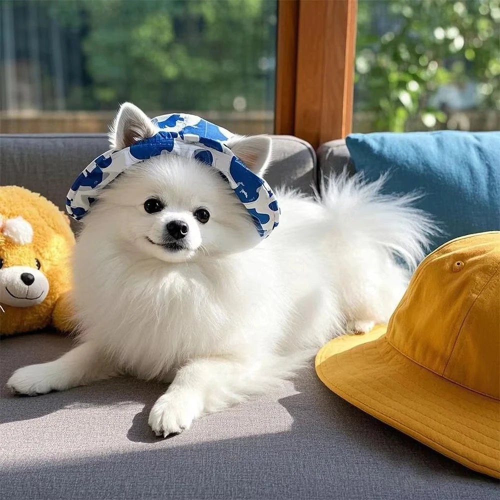 SunnyPaws™