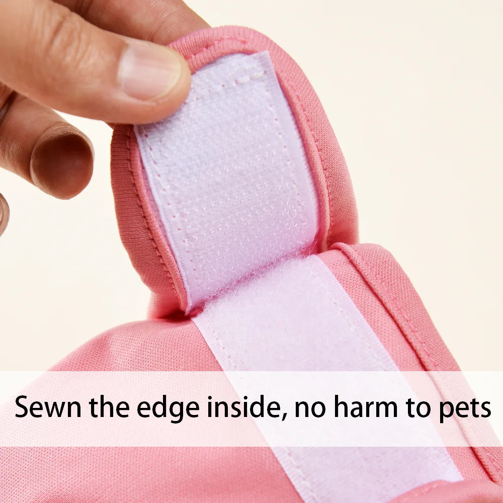 PawComfort™