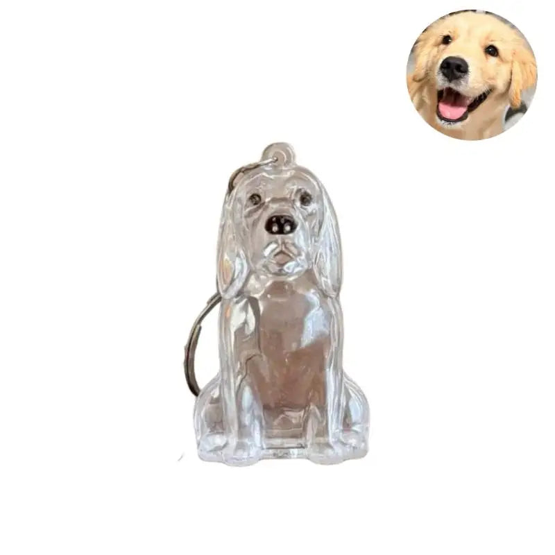 ForeverPaws™