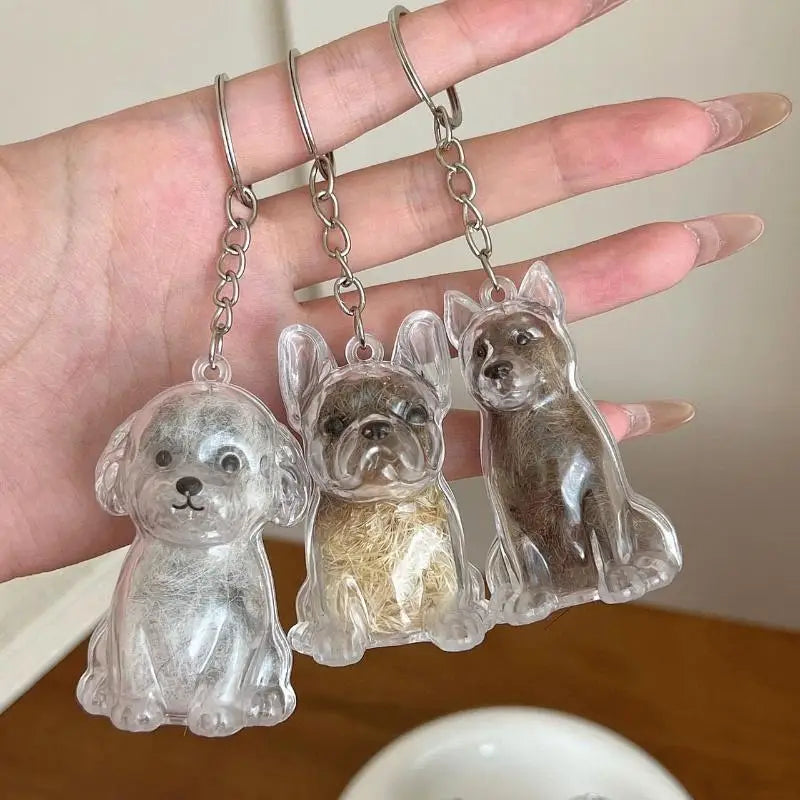 ForeverPaws™