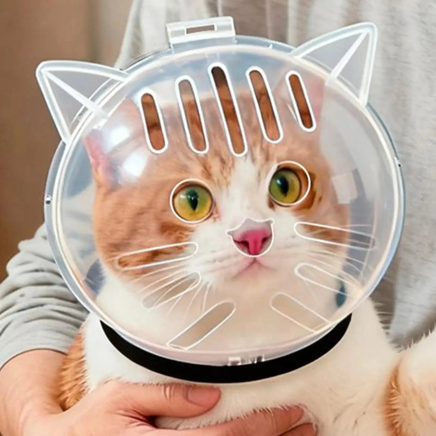 Transparent Breathable Cat Bubble Muzzle & Face Cover - for Bathing, Nail Trimming, Shedding, Bite Prevention, Behavior Training PawsnHeart