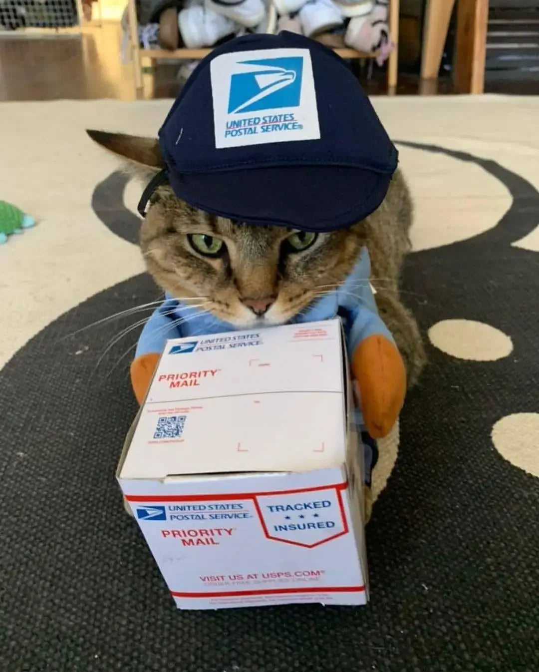 PawCourier™