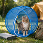 RolliPaw™
