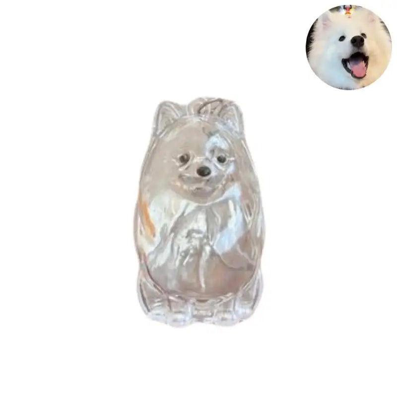 ForeverPaws™