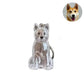ForeverPaws™