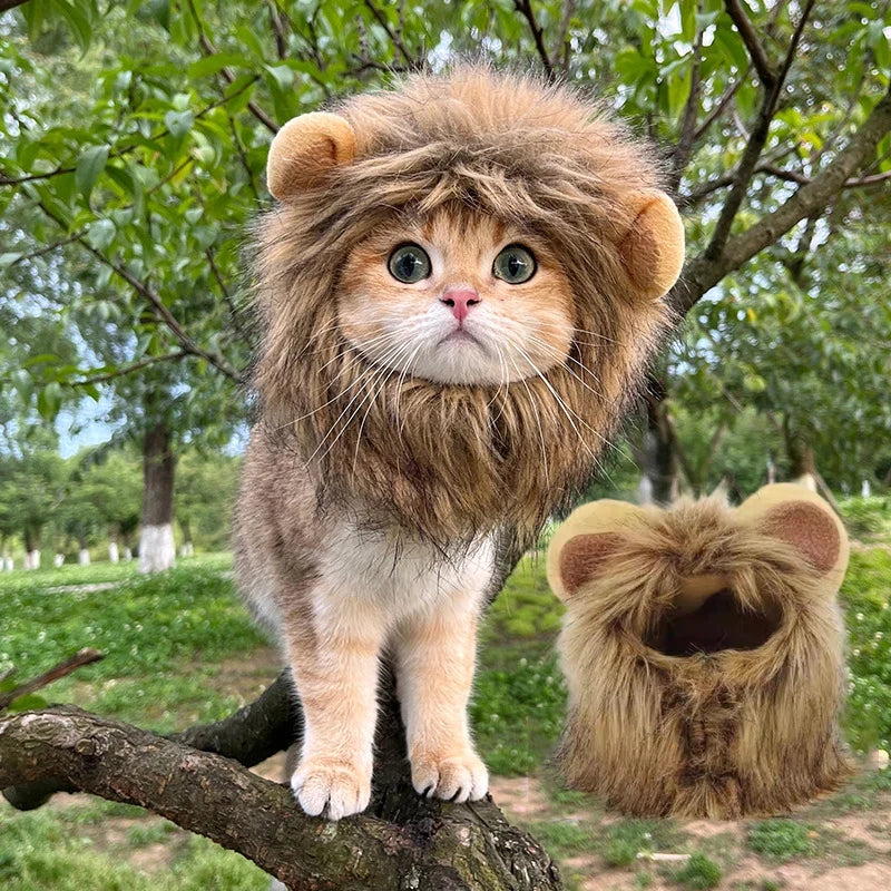 LionPurr™